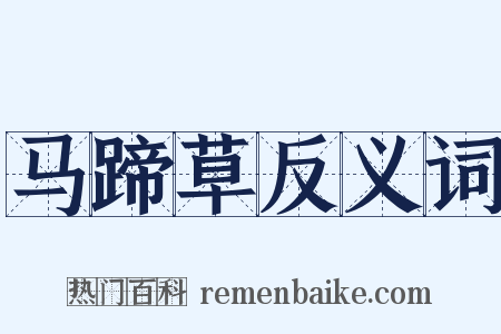 马蹄草反义词是什么意思的图片